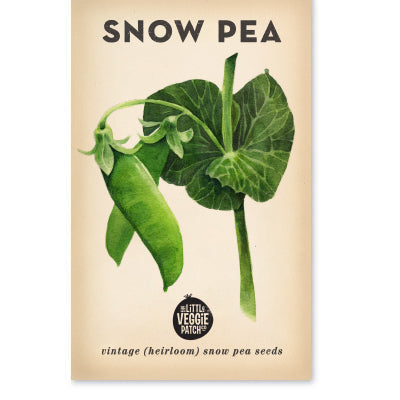 Snow Pea 'Oregon' Heirloom Seeds