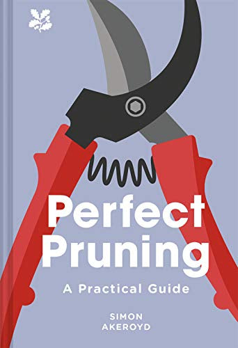PERFECT PRUNING