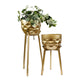 Gold Patterned Plant Stand - Small